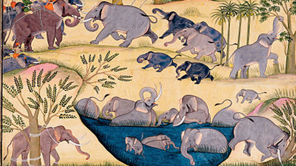 শের শাহ সুরী থেকে মুঘল হয়ে পরবর্তী সময়ে ব্রিটিশ। বিভিন্ন সময়ে এই শক্তিদের সঙ্গে সুসম্পর্ক বজায় রেখেছে বিকানেরের রাজবংশ। ১৬৬৯ খ্রিস্টাব্দে এই বংশের অনুপ সিংহ প্রথম ‘মহারাজা’ উপাধি পান মুঘল সম্রাট ঔরঙ্গজেবের কাছ থেকে। তার পর থেকে ‘রাও’-এর সঙ্গে বংশের প্রধানপুরুষের নামের আগে বসতে লাগল ‘মহারাজা’ উপাধিও।