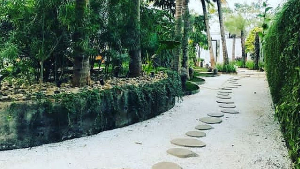 তবে বিয়ের ভেনুতে মোবাইল ব্যবহারে নিষেধাজ্ঞা জারি করেছেন ডেভিড ধওয়ন। ওয়েডিং প্ল্যানার ও রিসর্টের কর্মীরা মোবাইল ব্যবহার করতে পারবেন না। ছবি তুলতে পারবেন না আমন্ত্রিতরাও।