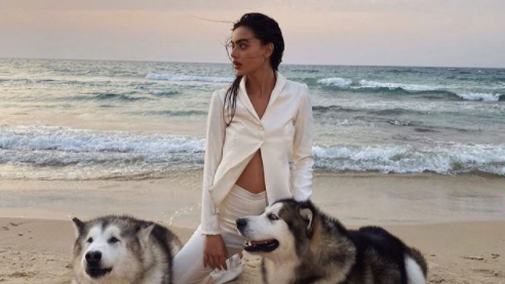 ২০১৭ সাল থেকে সামনের সারির মডেল হয়ে ওঠেন তিনি। তাঁর কেরিয়ারের ঊর্ধ্বমুখী গতি প্রথম সারির অনেক জনপ্রিয় মডেলকেও হার মানাবে।