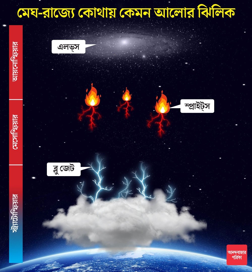 গ্রাফিক: শৌভিক দেবনাথ।