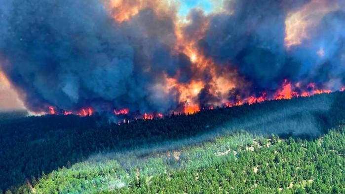 কানাডা ছুঁল ৫০ ডিগ্রি! মৃত ২৩০