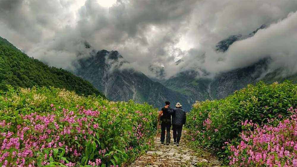 ভ্যালি অব ফ্লাওয়ার্স। 