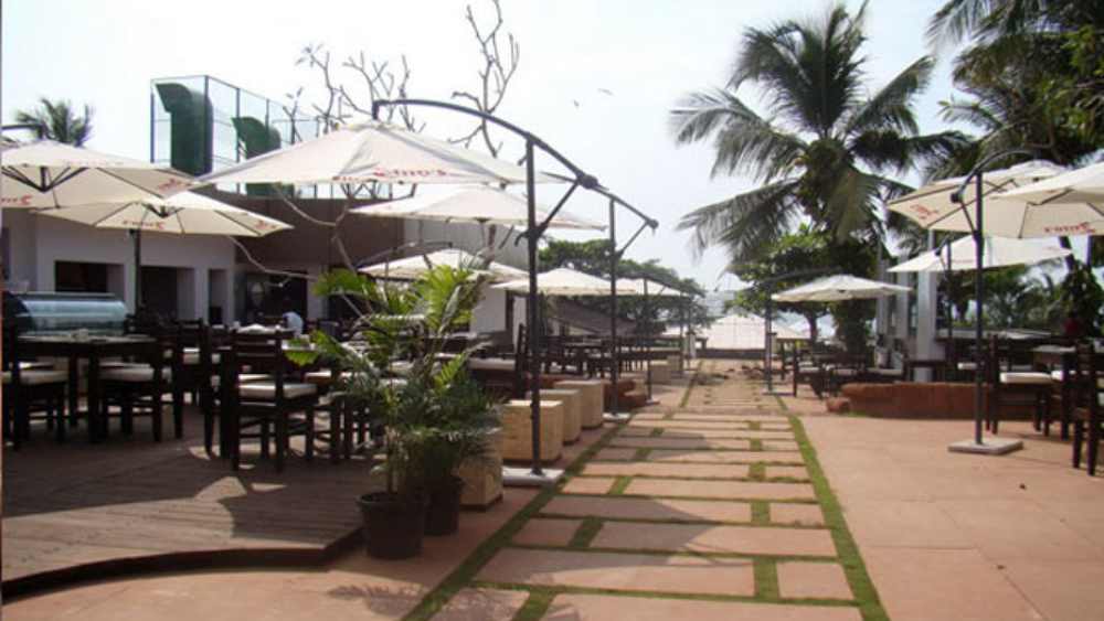 চারটি টেবিল আর ১৬টি চেয়ার নিয়ে শুরু হয়েছিল টিটো’জ। কিন্তু হেনরি নিজেই অল্প বয়সে মারা গেলেন।