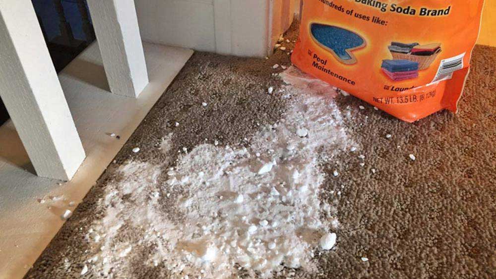 ঘরের সৌন্দর্য বৃদ্ধি করে কার্পেট। কিন্তু কার্পেট পরিষ্কার করা বড় ঝক্কির কাজ। যা সহজ করে দেবে বেকিং সোডা। কার্পেটের উপর বেকিং সোডা ছড়িয়ে দিন। তার পর গরম জল দিয়ে ভাল করে ঘষে ধুয়ে নিন। কিংবা বেকিং সোডা গোলা জলে সারারাত কার্পেট ভিজিয়ে রাখুন। কার্পেট নতুনের মতো দেখাবে।