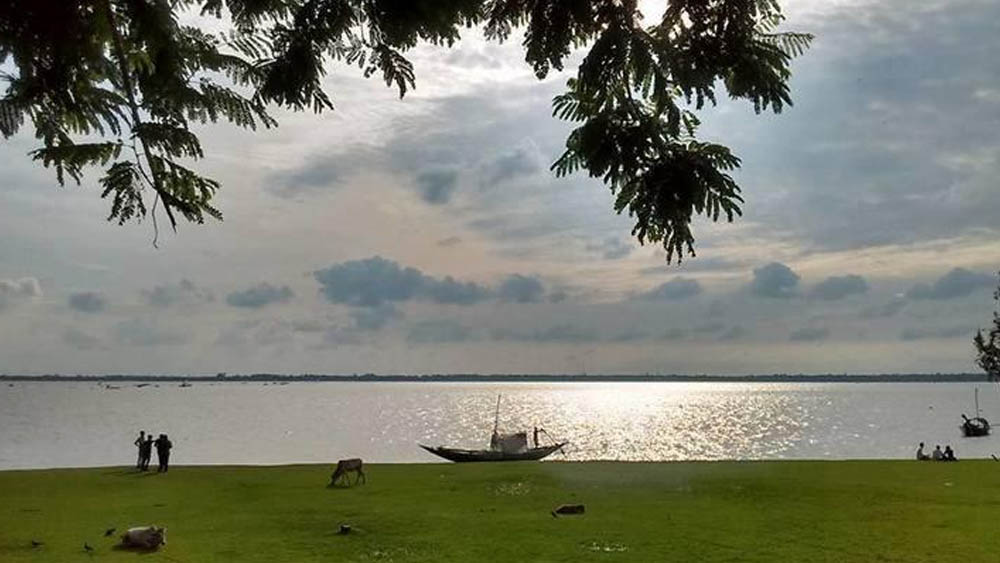 ফলতা