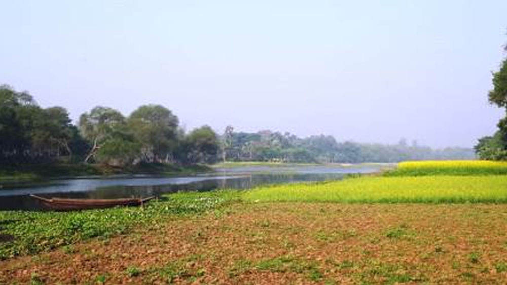 আসননগর