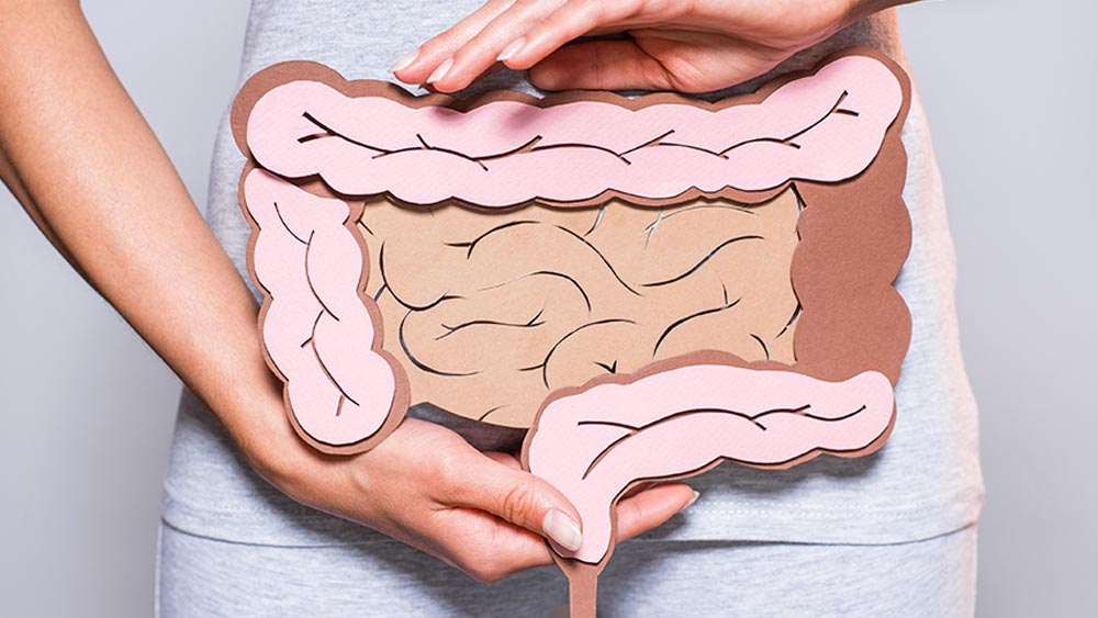 বাড়ছে অন্ত্রের ক্যানসারের সংখ্যা। 