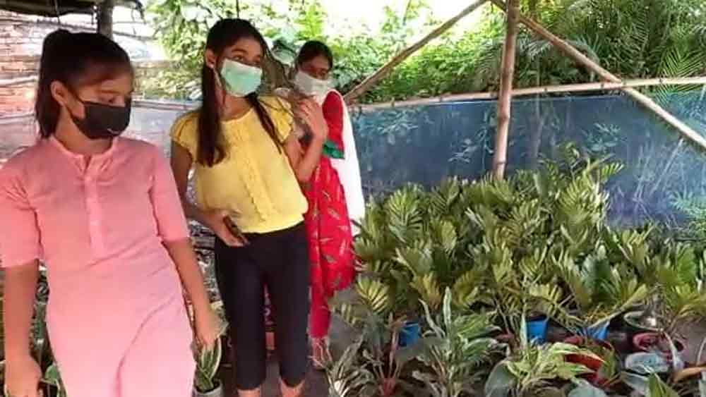 ‘এয়ার পিউরিফায়ার প্ল্যান্ট’ কেনার ঝোঁক বাড়ছে ক্রেতাদের।