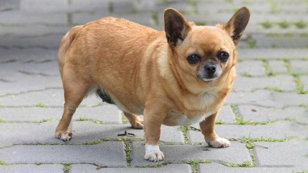 প্রতীকী ছবি।