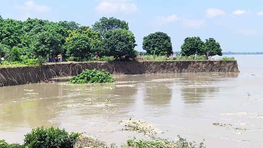 বর্ষা নামতেই রুদ্ররূপ গঙ্গার, ভাঙছে পাড়। শমসেরগঞ্জে। 