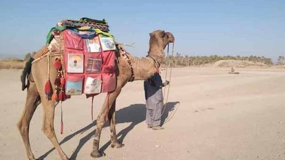 স্কুল কবে চালু হবে, ফের কবে দল বেঁধে গ্রামের ছেলেমেয়েরা পড়তে যাবে, তার উত্তর কারও কাছে নেই।