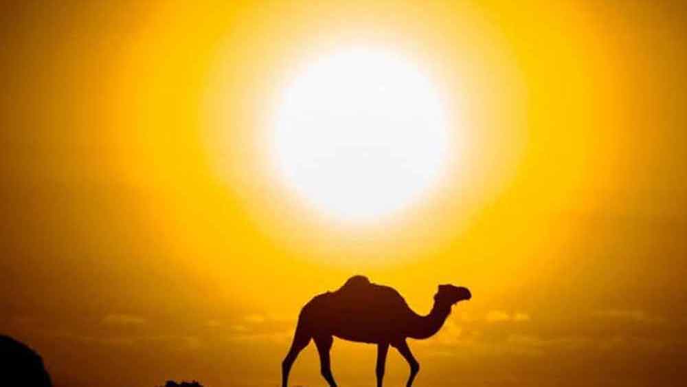 সবচেয়ে উদ্বেগের বিষয় হল এত দিন পড়াশোনা থেকে মুখ ফিরিয়ে রাখা ছেলেমেয়েরা কি ফের পড়াশোনার সঙ্গে নিজেদের নিয়মিত জড়িয়ে রাখতে পারবে! স্কুলছুটের সংখ্যা আরও কয়েক গুণ বেড়ে যাবে না তো!