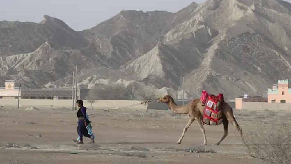 রহিমা এবং তাঁর বোন মিলে এর উপায় ভাবতে শুরু করেন। তাঁদের মাথায় এক অভিনব পরিকল্পনা আসে।