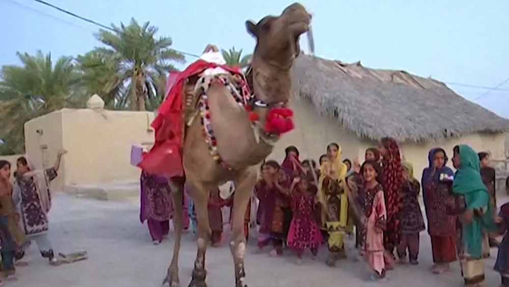 তাঁরা এমন কিছু উপায় আনতে চেয়েছিলেন যাতে বাড়িতে বসেই পড়াশোনা করা যাবে। না, অনলাইন ক্লাসের সুযোগ ওই সমস্ত পড়ুয়াদের কাছে ছিল না।