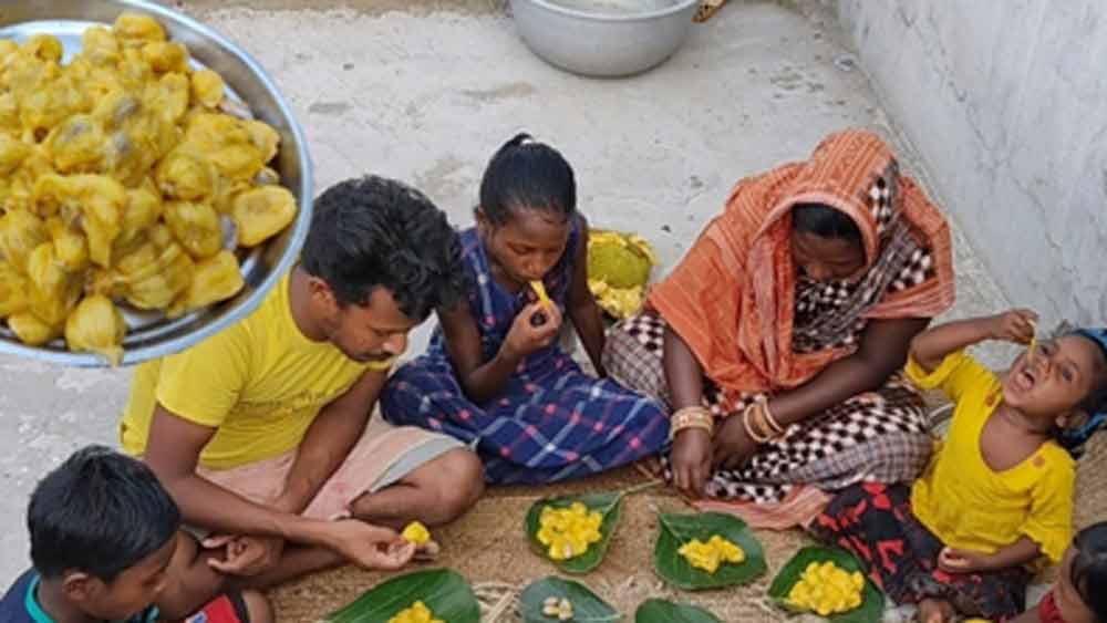 তাঁর প্রথম ভিডিয়ো আপলোড করার তিন মাসের মধ্যে পাঁচ লাখ মানুষ দেখেন। শুধু ওই একটি ভিডিয়ো থেকেই ৩৭ হাজার টাকা আয় করেন তিনি।
