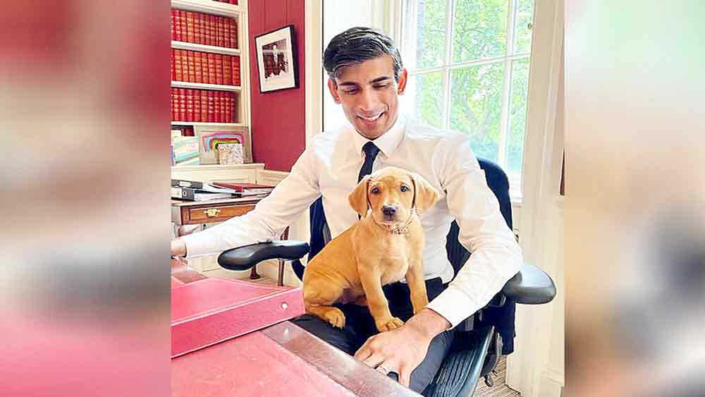 জীবপ্রেম: ঋষি সুনকের সঙ্গে নোভা