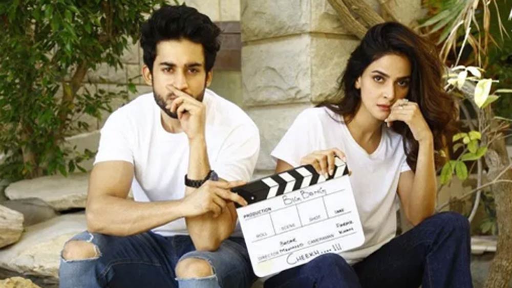 আর ‘চিখ’ হল পাকিস্তানের ক্রাইম-ড্রামা টেলিভিশন সিরিজ। ২০১৯ সালে প্রথম সম্প্রচারিত হয়েছিল এটি। ‘দামিনি’ ছবির গল্পই যেন ছত্রে ছত্রে ফুটে উঠেছে এই সিরিজে।