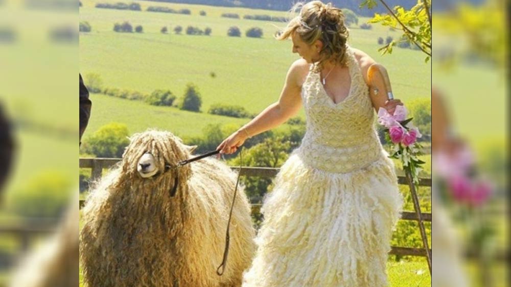 ব্রাইডসমেডস-দের সঙ্গে মিলিয়ে কনের পোশাক বানানোর রীতি তো দেখেছেন। ভেড়ার সঙ্গে মিলিয়ে পোশাক বানাবেন কেউ? সে কেউ বানাক বা না বানান। ইনি তো খুশি মনে বানিয়েছেন। পাশে হেঁটে যাওয়া ভেড়ার লোম দিয়েই নিজের পোশাক তৈরি করিয়েছেন।