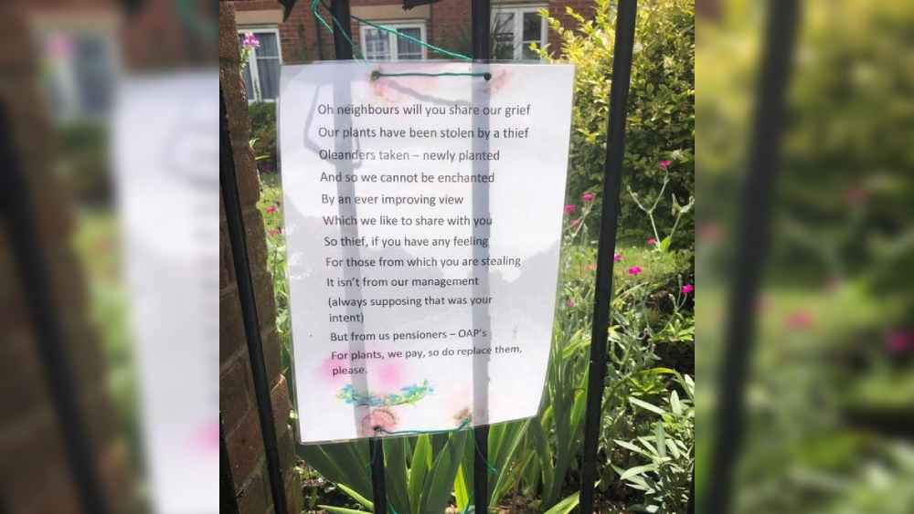 সেই কবিতা। 