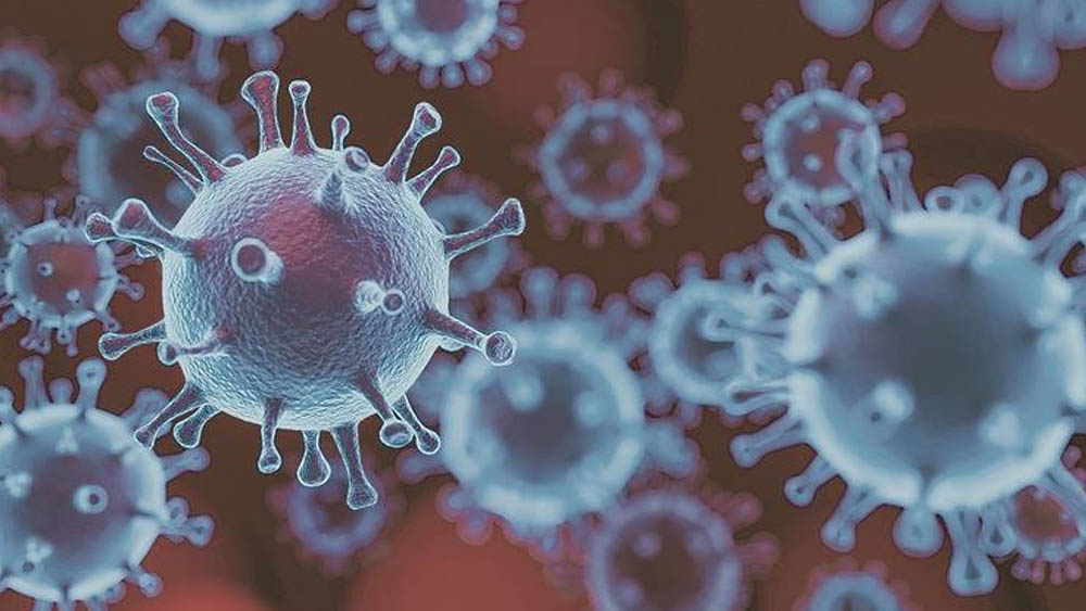 উদ্বেগ বাড়ছে সোয়াইন ফ্লু নিয়ে। 