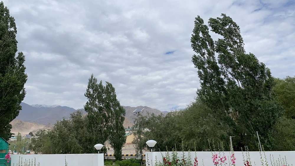 ভূস্বর্গে গিয়েও কিছু সাংগঠনিক কাজ সেরেছেন দিলীপ। তবে বিজেপি নয়, রাষ্ট্রীয় স্বয়ংসেবক সঙ্ঘ (আরএসএস) সম্পর্কিত সংগঠন।