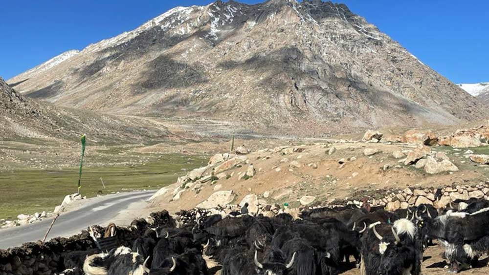 ২০১৯ সালের ৫ অগস্ট কাশ্মীর থেকে ৩৭০ ধারা বিলোপের সিদ্ধান্ত নেয় নরেন্দ্র মোদী সরকার। তার বর্ষপূর্তিতে কাশ্মীর ভ্রমণের পরিকল্পনা করেছিলেন। কিন্তু করোনা আবহে গত অগস্টে সফর বাতিল হয়েছিল। তবে পরে হলেও আশা পূরণ হওয়ায় খুব খুশি দিলীপ।