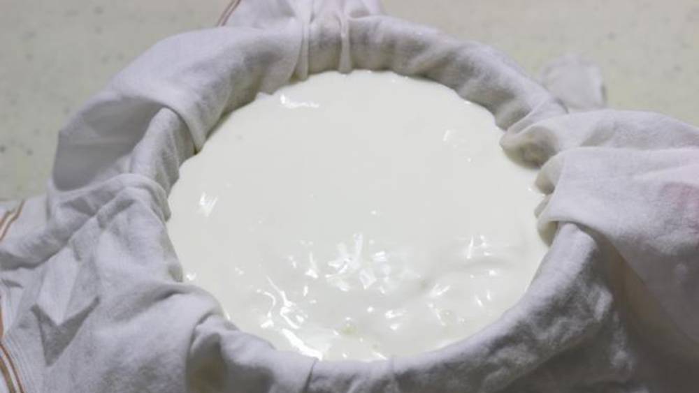 কী ভাবে বানাবেন এই দই?