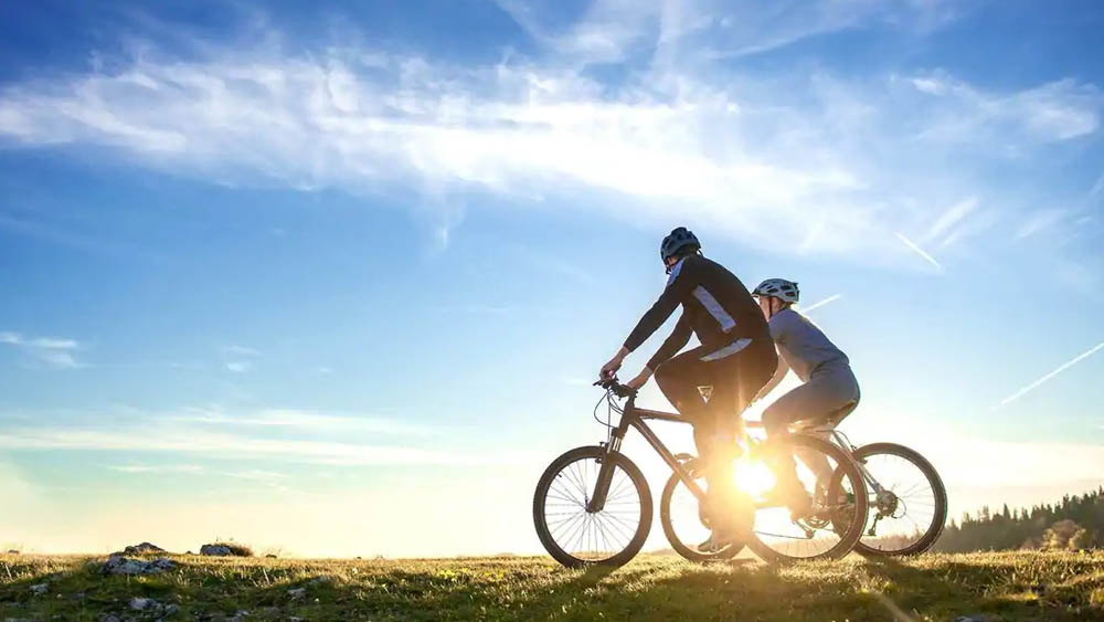 কোন পথে সাইকেল চালাচ্ছেন, তাপর উপর নির্ভর করে শরীরচর্চার পরিমাণ। 