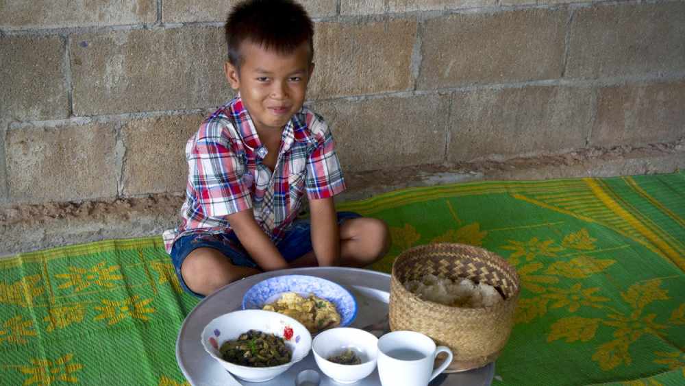অন্য দিকে, রাষ্ট্রপুঞ্জের পুষ্টি বিষয়ক প্রধান নাওকো ইয়ামামোতোর কথায়, ‘‘বিশ্বের বহু দেশে এখনও শিশুরা অপুষ্টিতে ভোগে। প্রাণিজ প্রোটিন তাদের দ্রুত সুস্থ করতে সক্ষম। নিরামিষ প্রোটিন বিকল্প খারাপ তা বলছি না। তবে প্রাণিজ প্রোটিন এক্ষেত্রে অনেক বেশি কার্যকর। তাই প্রাণিজ প্রোটিন থেকে সম্পূর্ণ ভাবে মুখ ফিরিয়ে নেওয়া বোধ হয় ঠিক হবে না। ’’