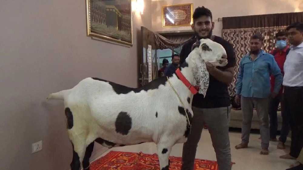 আসফাকের সঙ্গে তৈমুর।