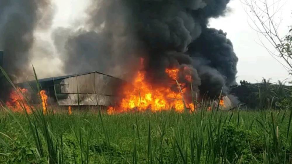 দাউদাউ করে জ্বলছে আগুন।