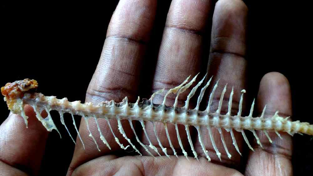 প্রতীকী ছবি।
