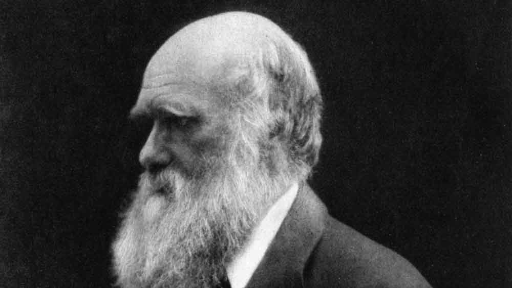 চার্লস ডারউইন: ১৮৫৯ সালে প্রকাশিত তাঁর গ্রন্থ ‘অন দি অরিজিন অব স্পিসিজ’ আমূল বদলে দিয়েছিল মানুষের ধারণার জগৎ। বিবর্তনবাদের জনকের ঘুমের বিষয়টি কিন্তু খুব সুবিধের ছিল না। তাঁর ছেলে ফ্রান্সিস ডারউইন লিখেছেন, তাঁর বাবার দিন শুরু হত সকাল ৭টায়। দুপুর ৩টের সময় তিনি কিছু ক্ষণ বিশ্রাম নিতেন এবং রাত ১০টায় ঘুমোতে যেতেন। এত নিয়মানুবর্তিতা সত্ত্বেও ডারউইন সাহেবের ঘুম খুব শান্তির ছিল না। আসলে তিনি বিভিন্ন অসুখে ভুগতেন। সেই সব অসুখের অনিবার্য পরিণতি ছিল অনিদ্রা। সারা জীবন ডারউইন অনিদ্রার সঙ্গে লড়াই করেছেন।