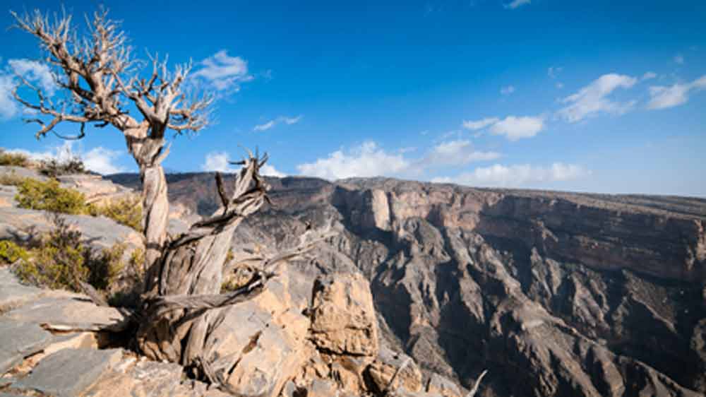 এই প্রকল্পের জন্য গরমকাল সবচেয়ে উপযুক্ত সময় বলে জানিয়েছেন গবেষকরা। ওই সময় আল-হাজার পর্বতের উপরে মেঘ জমতে শুরু করে।