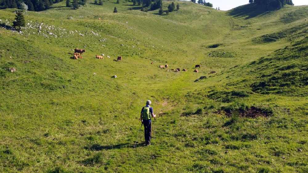 পাহাড় ইভের পছন্দ বরাবরই।