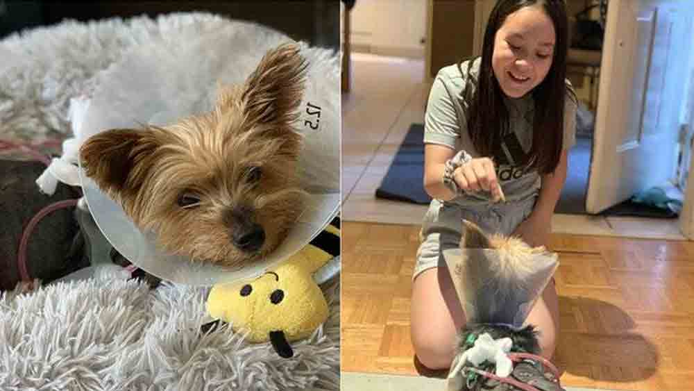 মেসির লড়াইয়ে মুগ্ধ তার মালকিন লিলি কোওয়ান। 