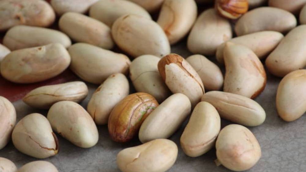 কাঁঠালের বীজ। 