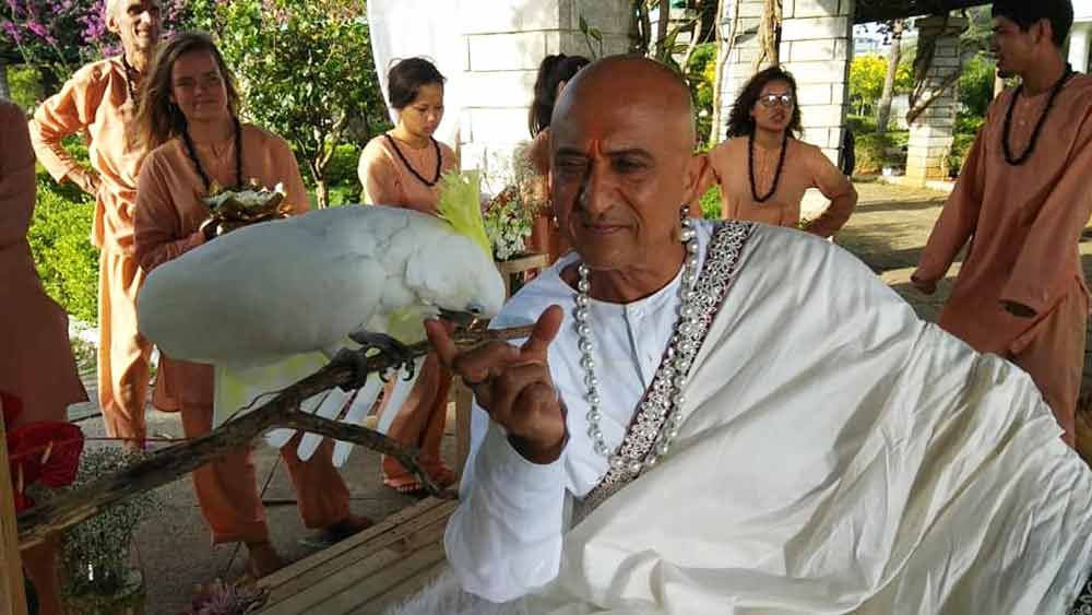 আপাতত নিজের ব্যবসা চালান তেজ। পাশাপাশি ছবিতে অভিনয়ের কাজও চলছে। ২০২০ সালে তাঁর ছবি ‘গুনস অফ বেনারস’ মুক্তি পাওয়ার কথা ছিল। তবে অতিমারিতে তা পিছিয়ে যায়।