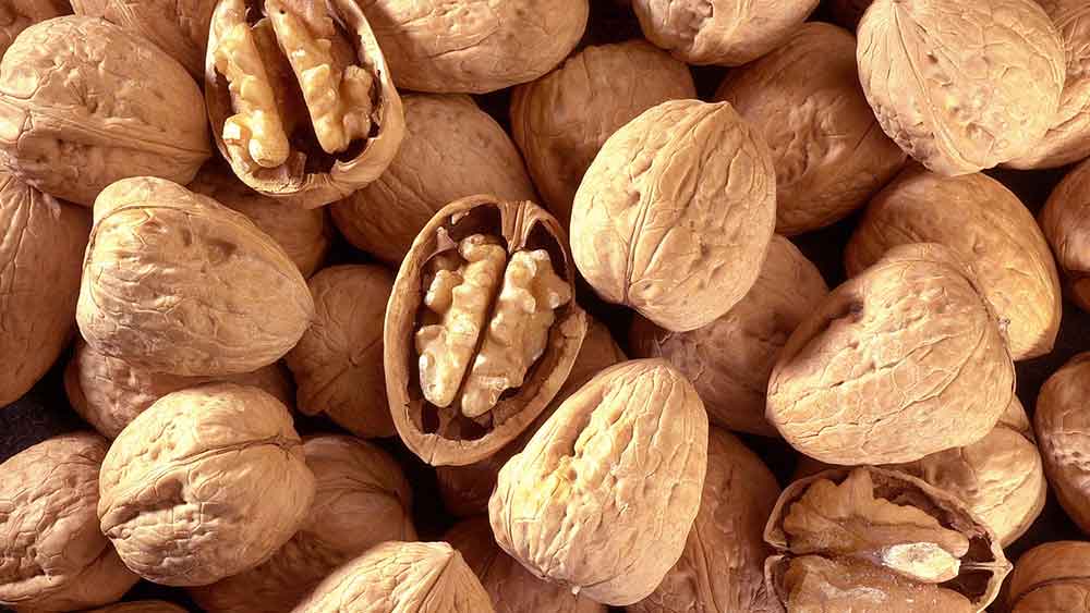 সাধারণত অ্যালার্জি থাকা খাবার খেলেই তার প্রভাব দেখা যায় শরীরে। তবে বনির ক্ষেত্রে আখরোট বা তার খোসা গায়ে লাগলেই সমস্যা শুরু হয়।