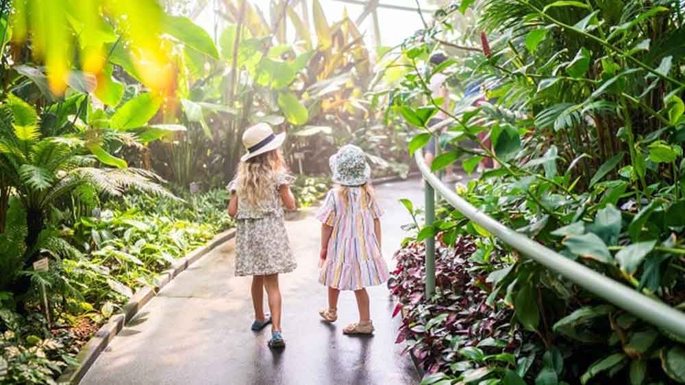 স্যানতালের সমর্থনেও চিঠি লিখেছেন ১৭ জন। এঁদের মধ্যে এক জন জানিয়েছেন, ‘গাছটি ছাঁটা হলে এলাকাটি দেখতে খারাপ লাগবে, এ ব্যাপারে সন্দেহ নেই। তবে একটি ছ’বছরের শিশুর প্রাণ সংশয়ের কথা যদি বিবেচনা করা হয়, তবে কারও আপত্তি করার কথা নয়।’