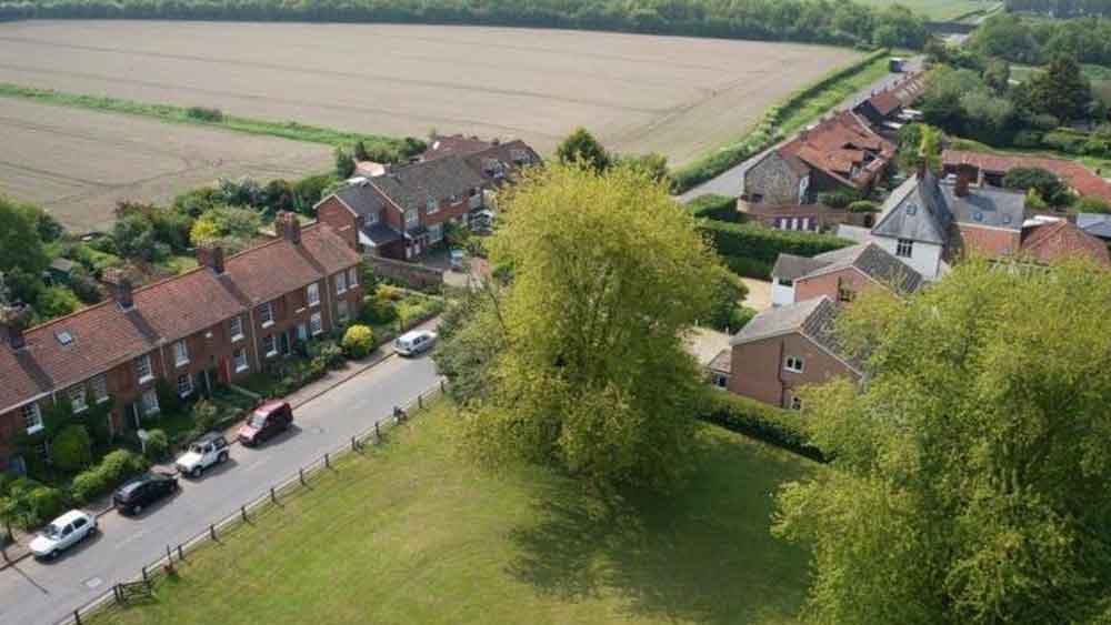 স্যানতালেরই এলাকার ১১ জন বাসিন্দা গাছটি ছেঁটে ফেলার বিরোধিতা করে চিঠি দিয়েছেন আদালতকে। কেউ লিখেছেন, ‘গাছটির ফলন প্রচুর। তা ছাড়া ১০০ বছরের পুরনো গাছটির ফলগুলিও সাধারণের থেকে আকারে বড়।’ কেউ আবার জানিয়েছেন, ‘আমি এক জন শিল্পী। প্রতি দিন এই গাছটার একটা ছবি আঁকি বা ছবি তুলি। গাছটির বয়স, আভিজাত্য এবং সুন্দর আকৃতি আমাকে মুগ্ধ করে।’