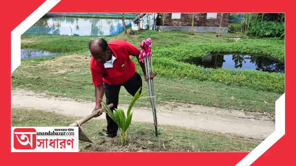 কোনও জায়গায় গাছের সংখ্যা কমছে দেখলেই সুকুমার নিজের হাতে সেখানে বসিয়ে দেন নারকেল, তাল এবং বিভিন্ন ম্যানগ্রোভের চারা।