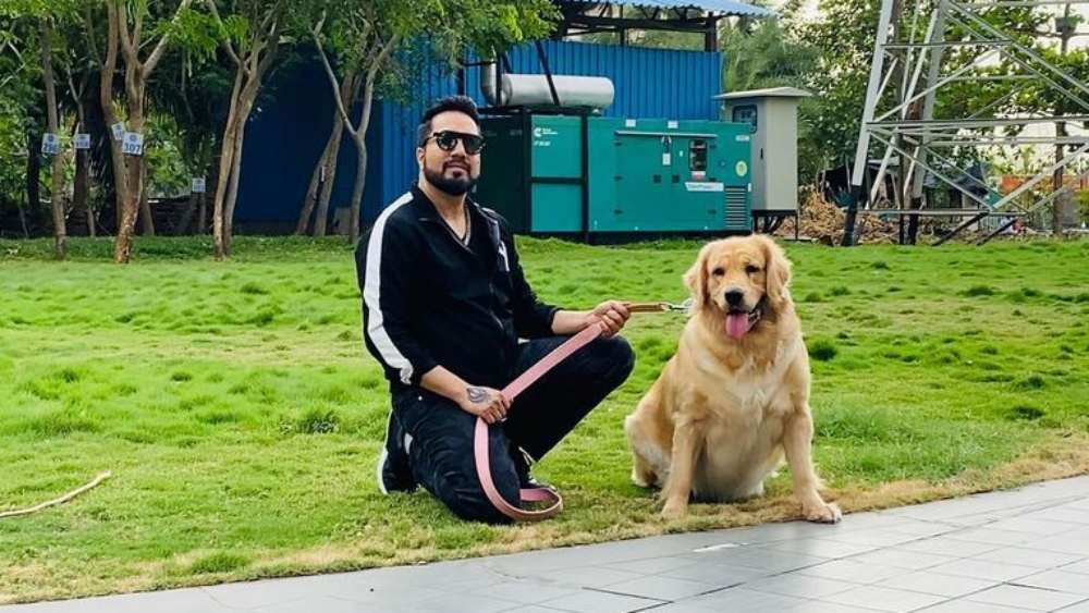 মা-বাবা কোনওক্রমে বুঝিয়ে-সুঝিয়ে স্কুলে পাঠাতেন। কিন্তু স্কুলের গণ্ডি তাঁকে পার করাতে পারেননি। পঞ্চম শ্রেণির পর আর স্কুলমুখো হননি মিকা।