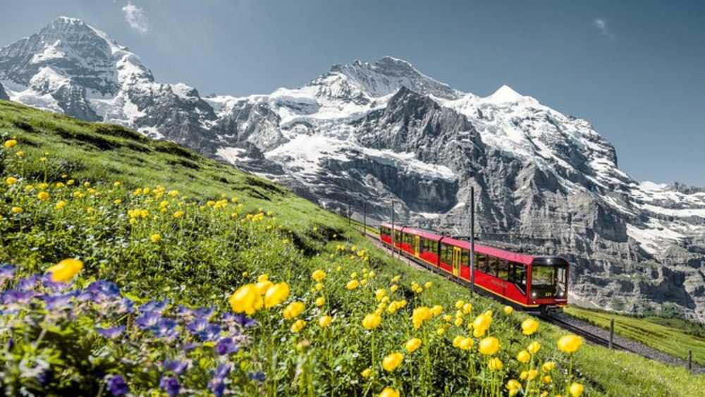 আর কোনও বিপদ আসবে না এ বিষয়ে তাঁরা নিশ্চিত ছিলেন। সুইস সরকারের থেকেও তেমনই আশ্বাস মিলেছিল। তাই অনেকেই সঞ্চয়ের অনেকটা খরচ করে স্বপ্নের বাড়ি বানিয়েছিলেন।