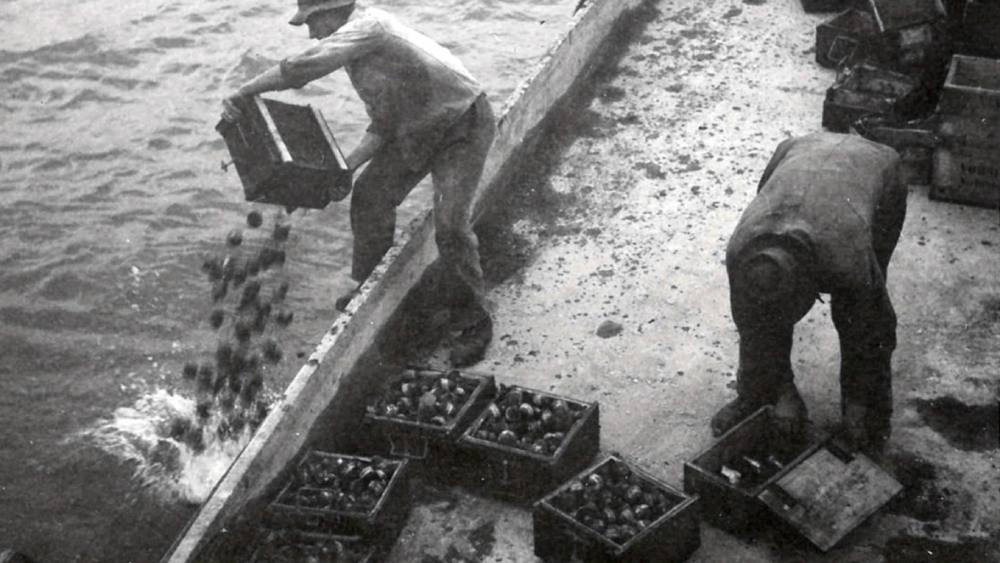 এক রাতের মধ্যেই পুরো গ্রাম পুড়ে ছাই হয়ে গিয়েছিল। প্রচুর মানুষ মারা গিয়েছিলেন, জখমের সংখ্যাও ছিল অসংখ্য। এই গ্রামের এমন কোনও ঘর অবশিষ্ট ছিল না যা আগুনের গ্রাস থেকে রক্ষা পেয়েছিল।