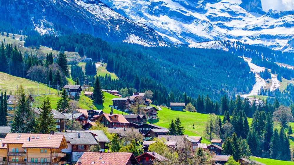 একে একে বাসিন্দারা গ্রামে ফিরে আসেন। ফের নতুন করে বাড়ি বানিয়ে নেন ওই গ্রামে।