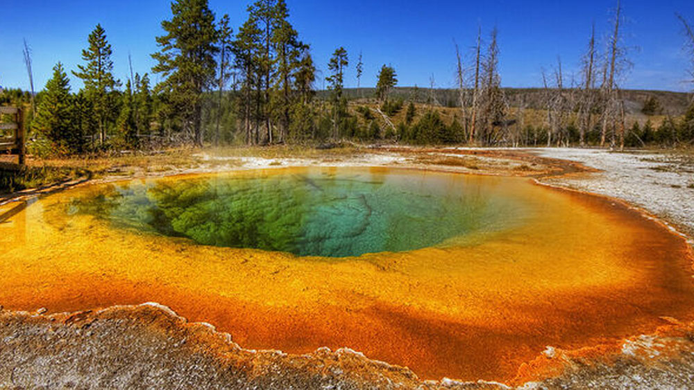 এমন কোনও জায়গা রয়েছে যেখানে অপরাধ করেও ছাড় পেয়ে যাওয়া যায়? এমন কোনও জায়গা রয়েছে যেখানে খুন করলেও দোষীর সাজা হয় না? শুনতে অবাক লাগলেও এমন জায়গা রয়েছে এই বিশ্বেই।