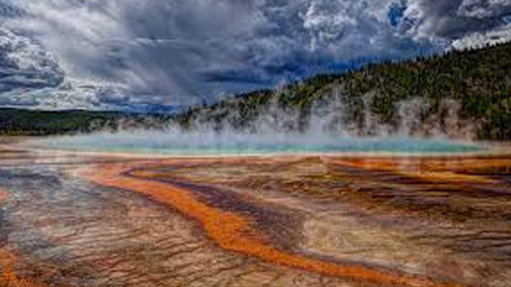 এতেই গোল বাধে। এখানেই বিচারব্যবস্থাকে ফাঁকি দেওয়ার কৌশল লুকিয়ে রয়েছে। পার্কের ওই অঞ্চল যা ইদাহোর অধীন কোনও মানুষের বসতিই নেই।