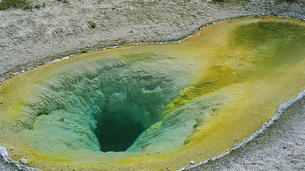 এই অঞ্চলের বিচারব্যবস্থার ফাঁক প্রথম চোখে পড়ে মিশিগান স্টেট বিশ্ববিদ্যালয়ের গবেষক ব্রায়ান সি কাল্টের।