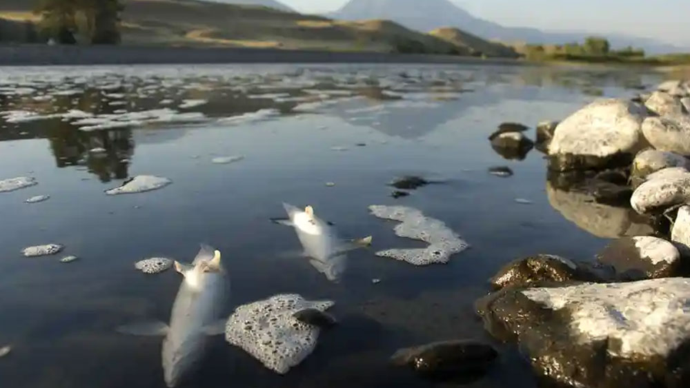 তিনি দেখেন ওই অঞ্চলে জুরি গঠন করার জন্য কোনও নাগরিকই থাকেন না। ফলে যে কোনও ব্যক্তি মারাত্মক অপরাধ করেও ছাড় পেয়ে যাবেন। এমনকি খুন করলেও সাজা দেওয়ার কোনও উপায় নেই।